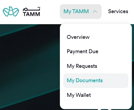 Check Daman Insurance With Emirates ID Via Tamm (3) Check Daman Insurance With Emirates ID Via Tamm
